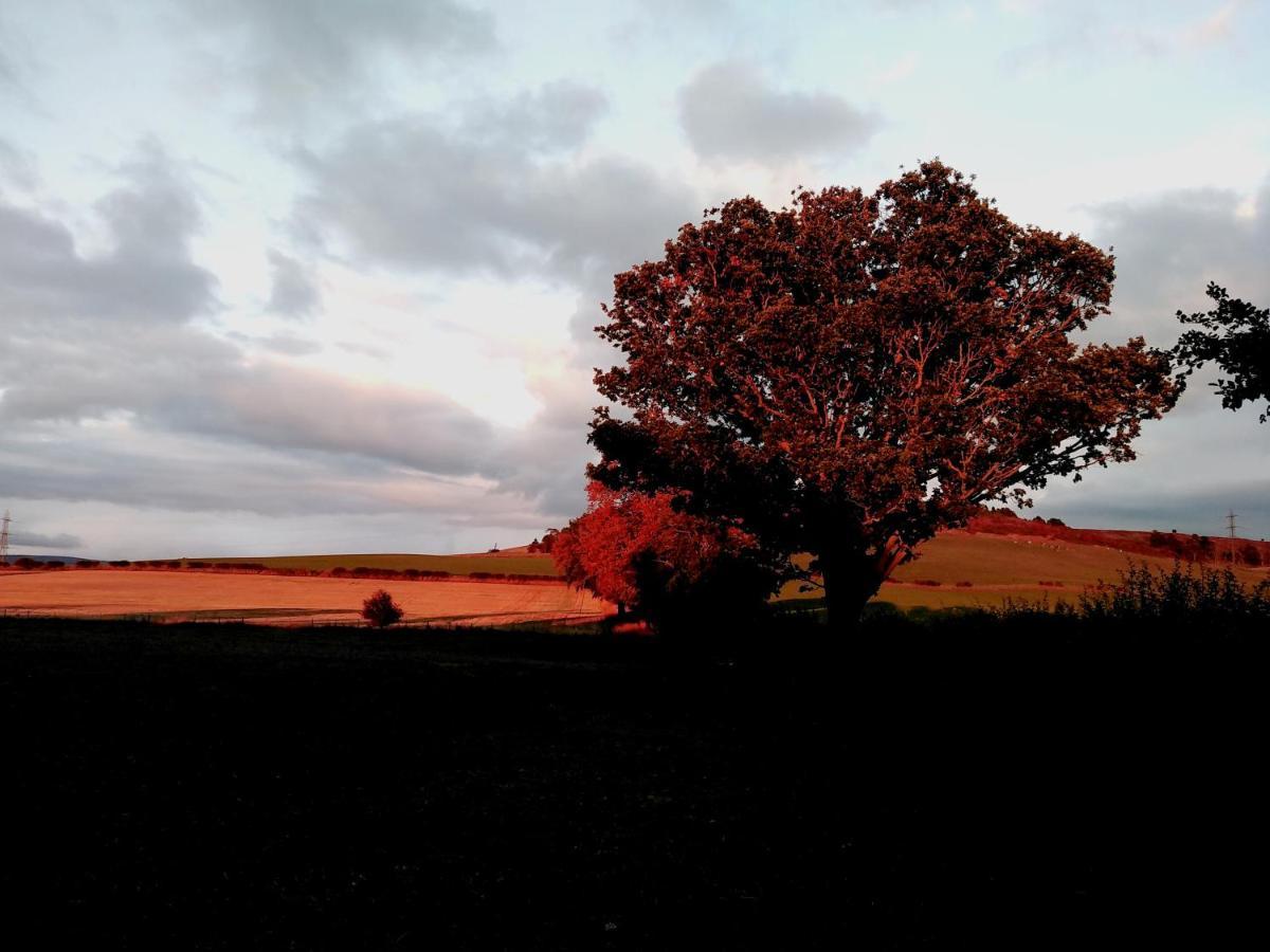 19 Park Views Just Outside Penrith For Holidays And Short Breaks Please No Commercial Vans Thankyou High Hesket Eksteriør billede