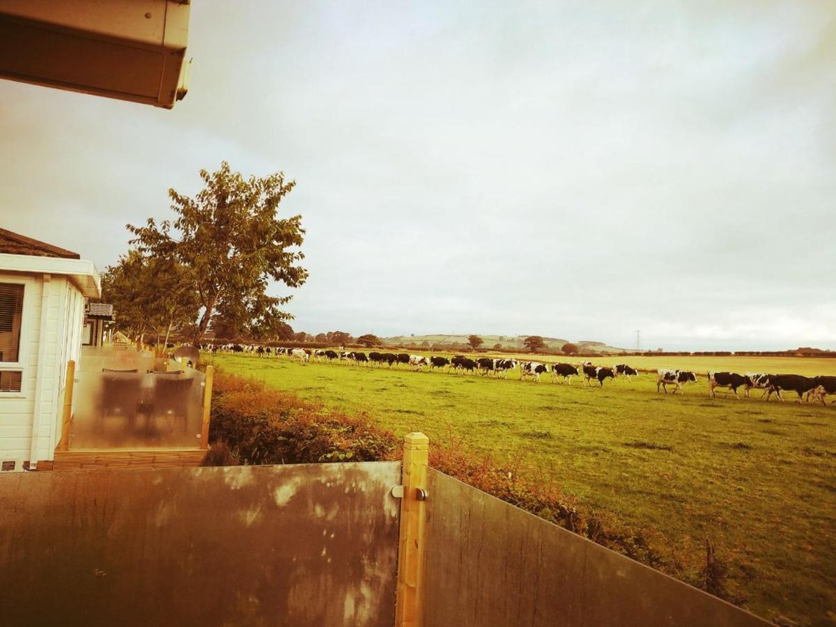 19 Park Views Just Outside Penrith For Holidays And Short Breaks Please No Commercial Vans Thankyou High Hesket Eksteriør billede